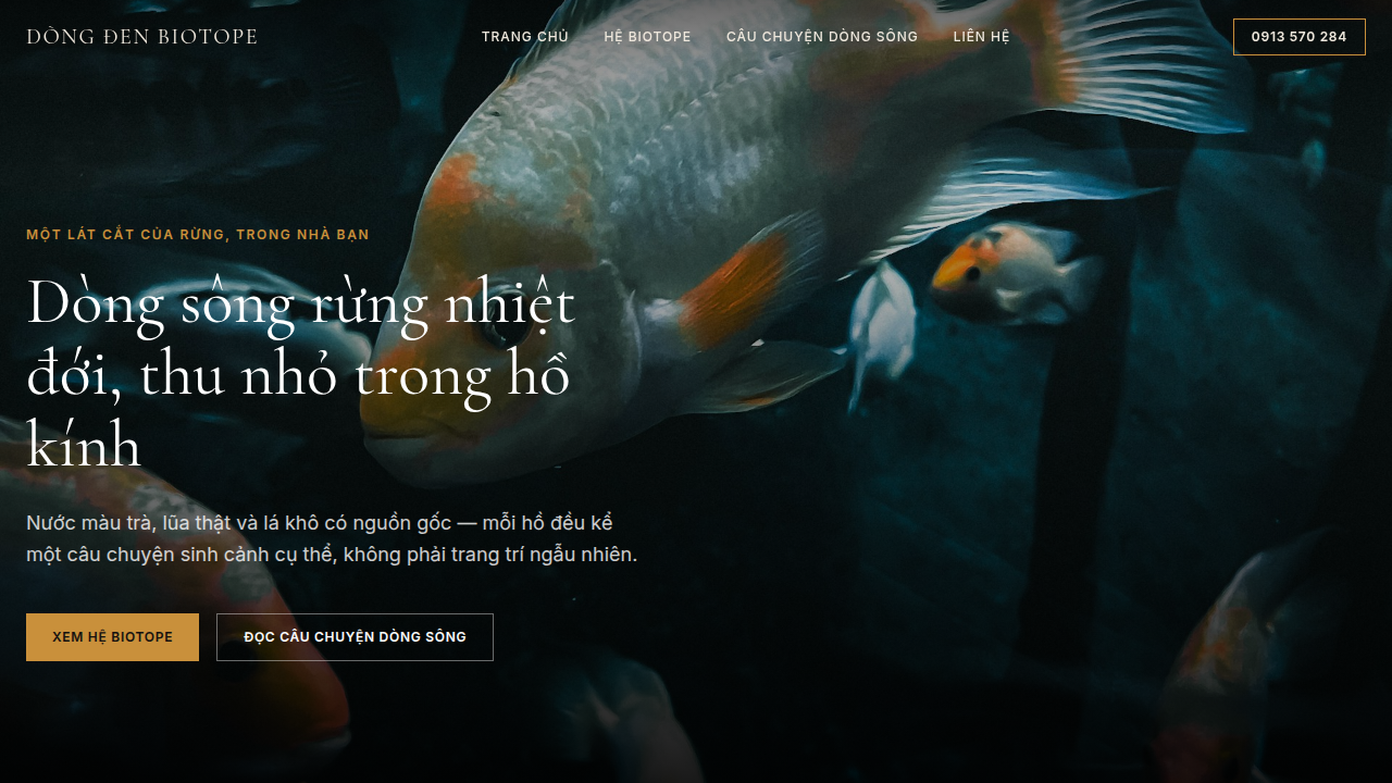 Dòng Đen Biotope