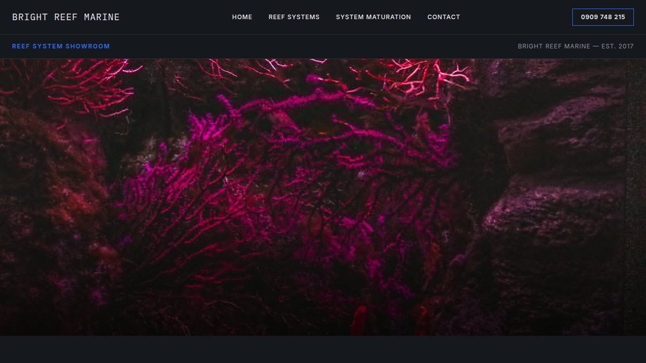 Bright Reef Marine