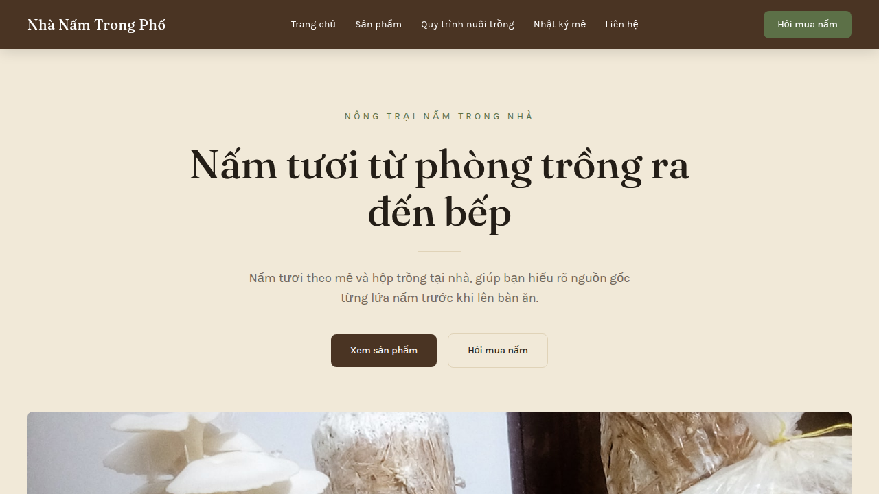 Nhà Nấm Trong Phố