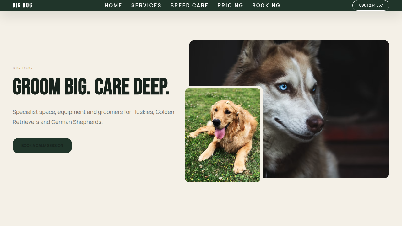 Big Dog Grooming Station